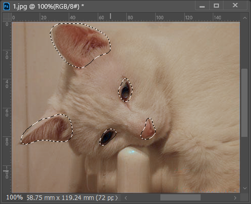 PS2022怎么给偏色的小猫调色