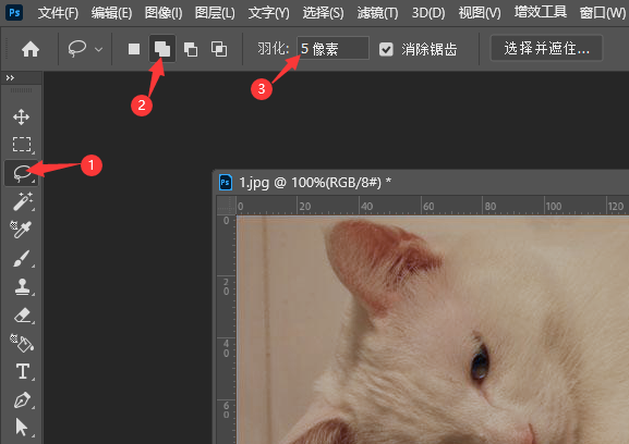 PS2022怎么给偏色的小猫调色