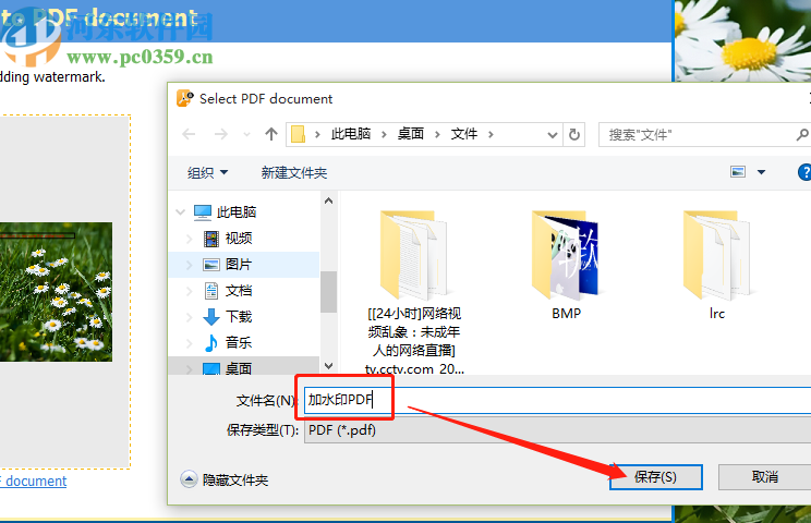 Secure-PDF Professional Edition给PDF添加水印的方法