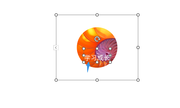 PPT图片如何设置圆形图片标注效果
