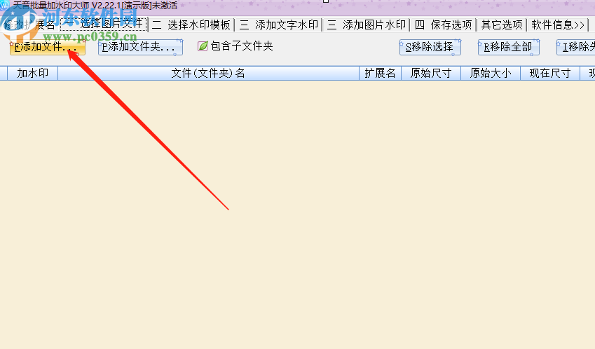 天音批量加水印大师给图片添加文字水印的操作方法