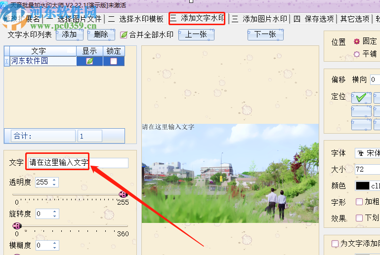 天音批量加水印大师给图片添加文字水印的操作方法