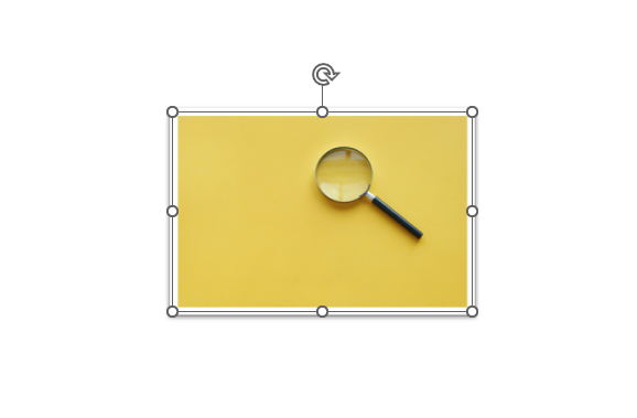 PPT2021清除图片样式的方法