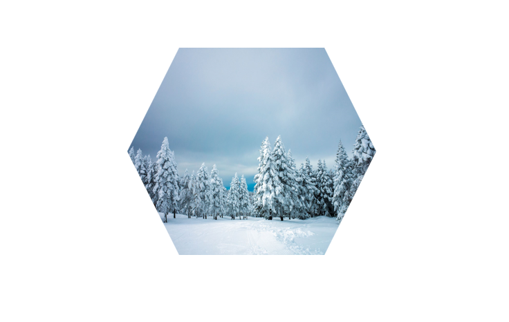 PPT的图片怎么裁剪成六边形效果