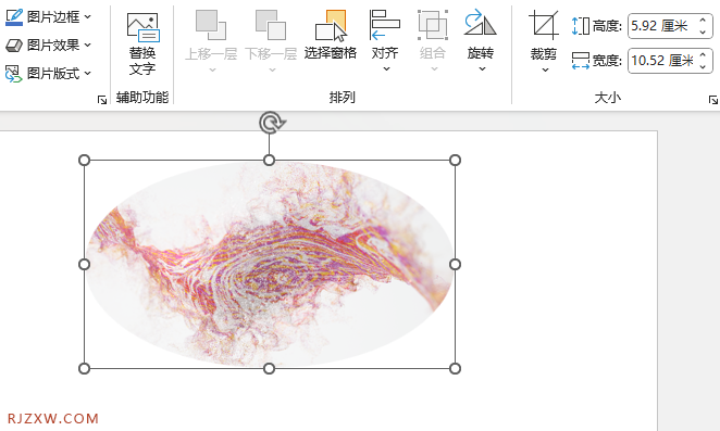 PPT2021怎么把图片裁剪成圆形