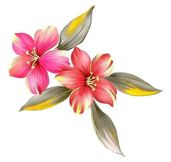 ps怎么做朦胧感的真人签名图片