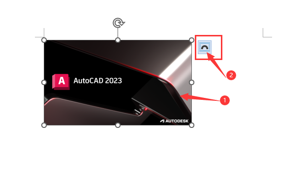 插入到word2021文档中的图片移动不了怎么办？