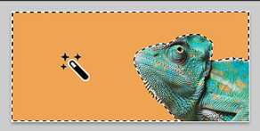 使用“魔棒”工具选择对象