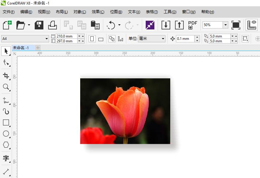 cdr图片怎么加阴影
