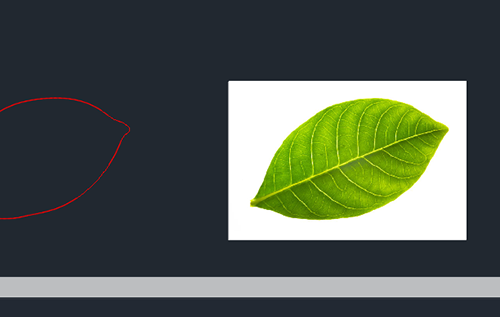 cad图片怎么移动