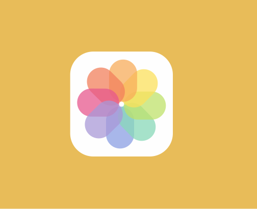 cdr怎么画苹果手机中的照片图标