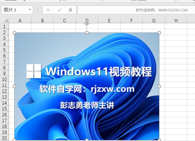 excel2019里面的图片怎么调大小