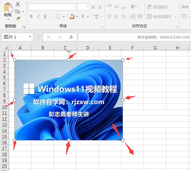 excel2019里面的图片怎么调大小