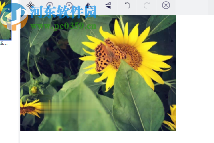 ThunderSoft Watermark Remover去除图片水印的方法
