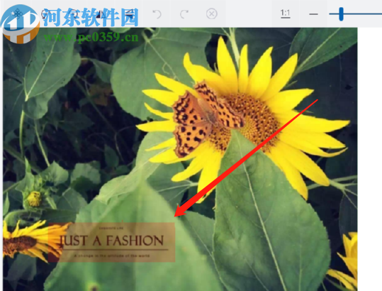 ThunderSoft Watermark Remover去除图片水印的方法