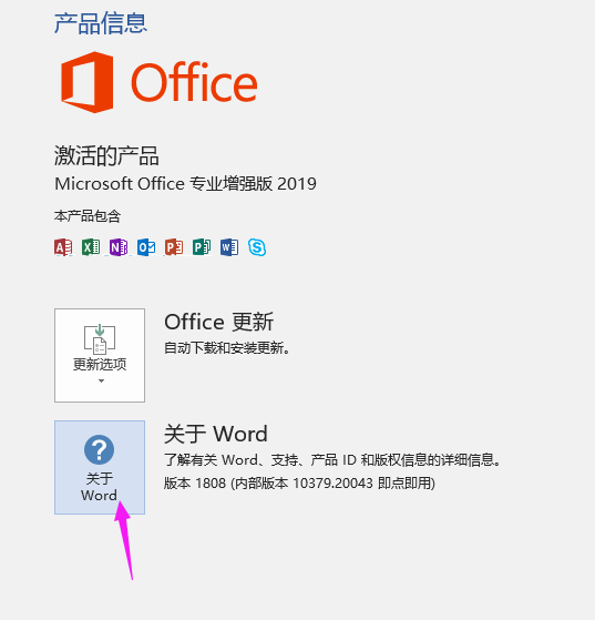 如何查看word软件是什么版本