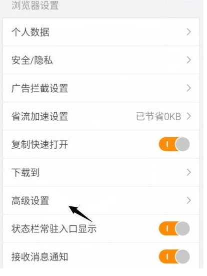 手机猎豹浏览器快速调节猎豹浏览器字体图文教程