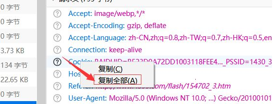 ie浏览器怎么复制cookie数据