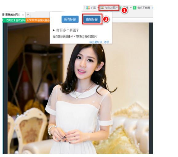 360浏览器怎么批量下载图片方法