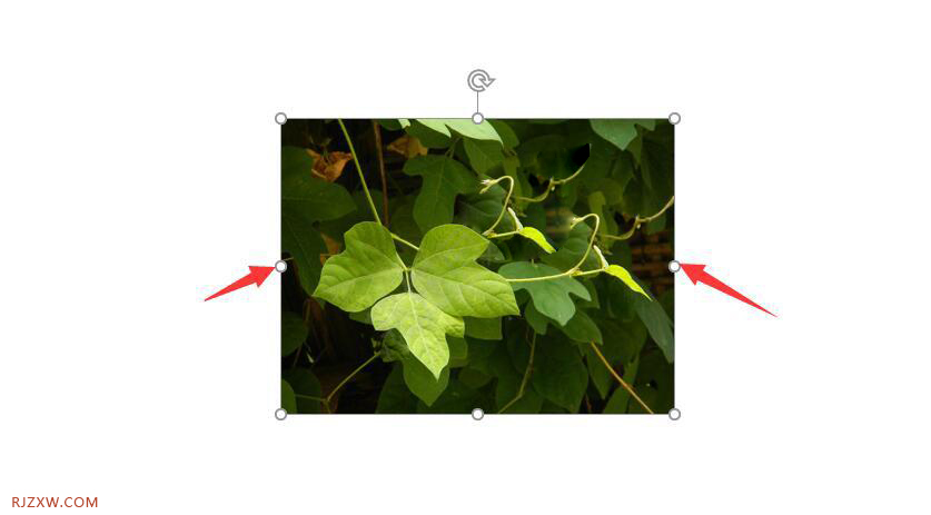 ppt图片放大至全屏