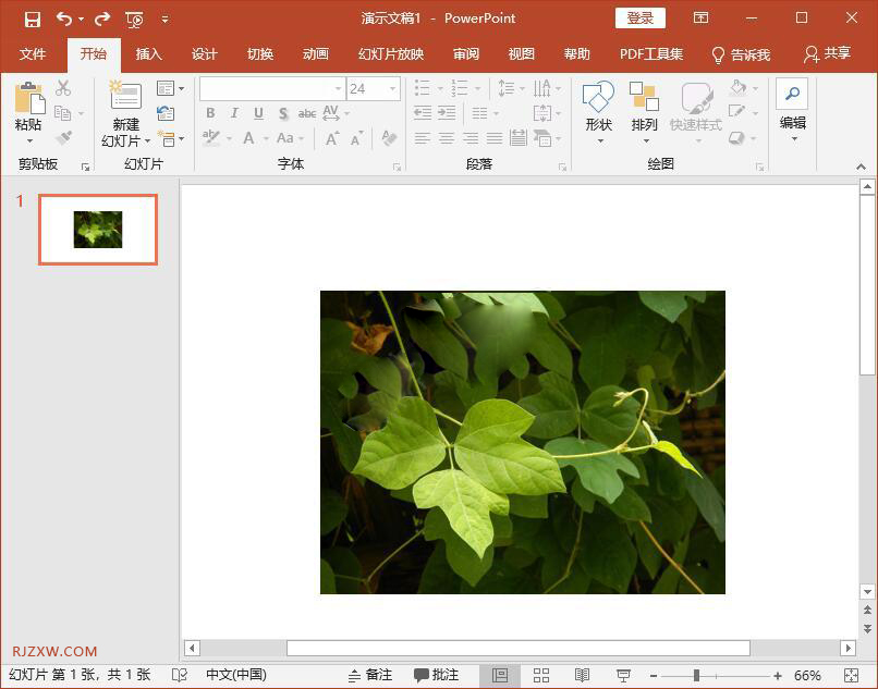 ppt图片放大至全屏