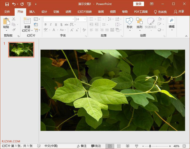 ppt图片放大至全屏
