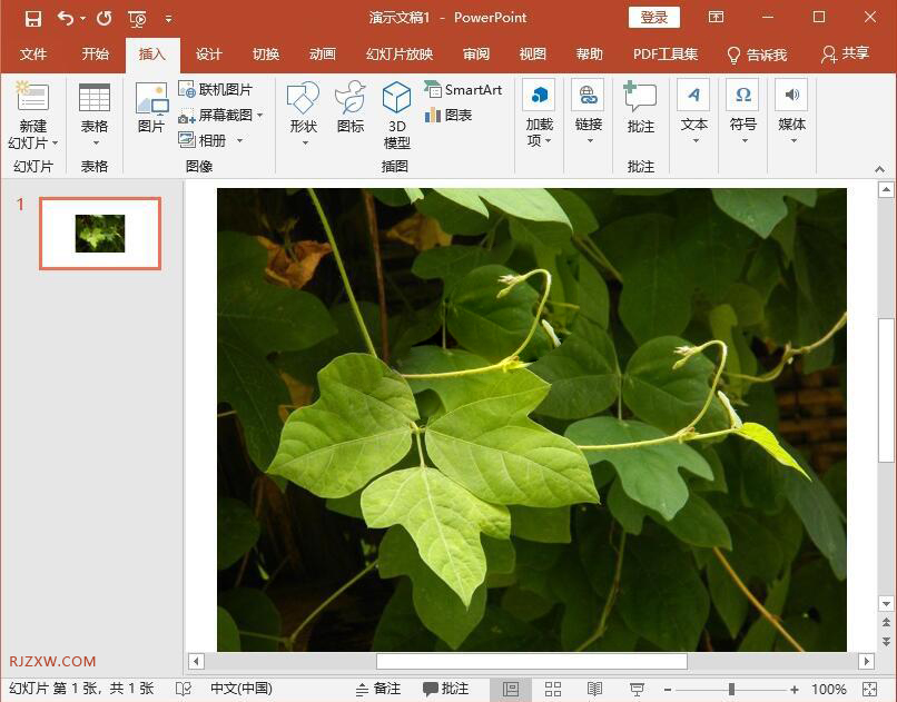 怎样在ppt图片上添加文字