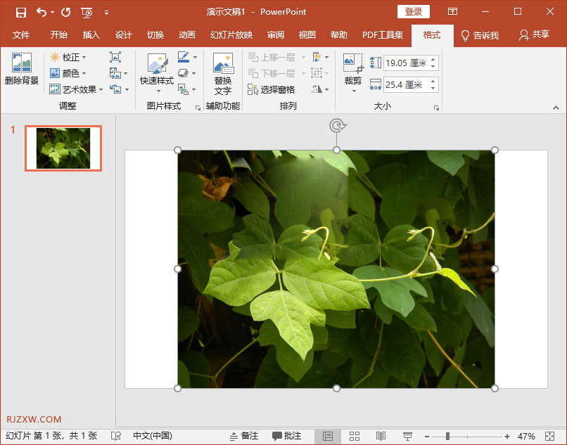 ppt中的图片怎么缩小