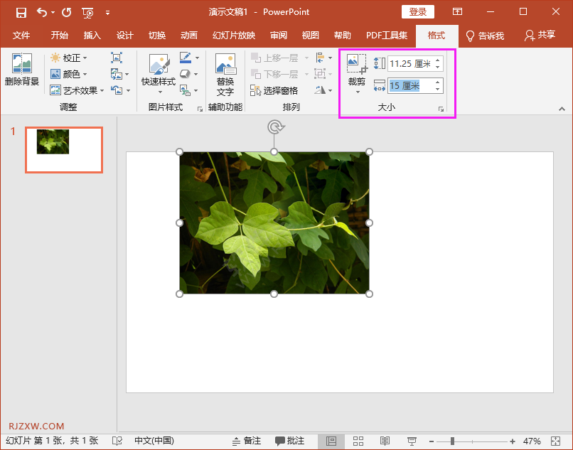 ppt中的图片怎么缩小