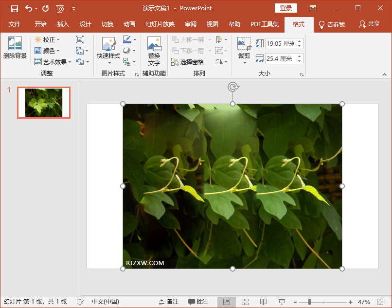 ppt怎么插入图片