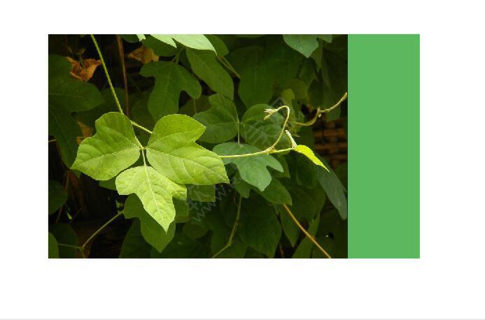 cdr图文设计和排版技巧