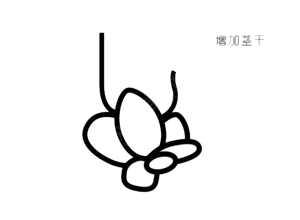 ai怎么画多肉植物插画