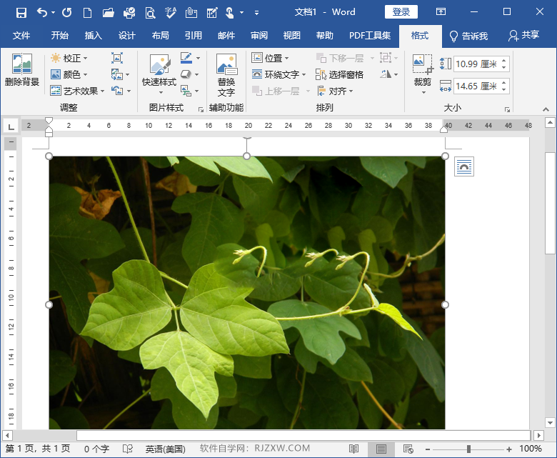 word中图片高度宽度怎么设置