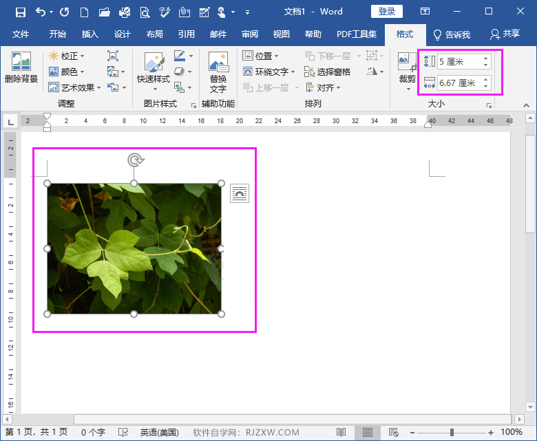word中图片高度宽度怎么设置