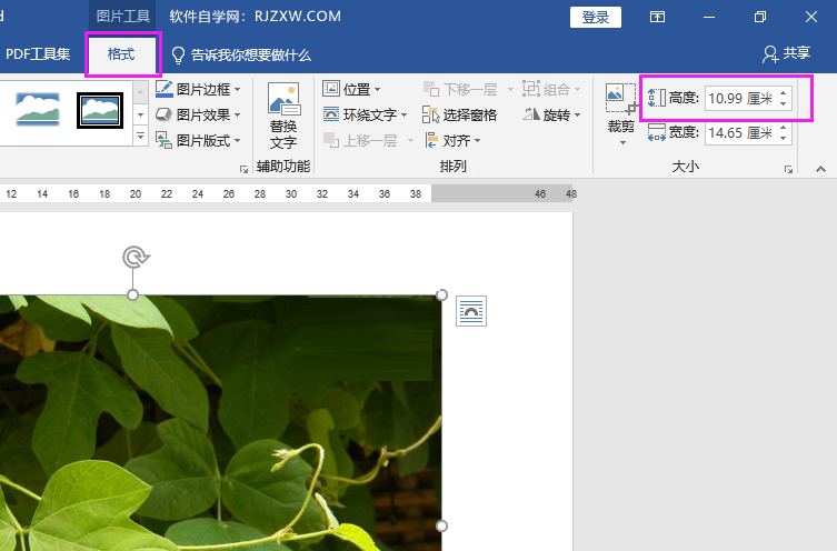 word中图片高度宽度怎么设置