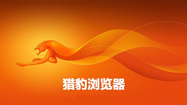 猎豹浏览器兼容模式怎么设置