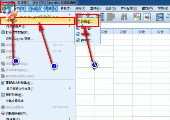 怎么用SPSS绘制饼状图