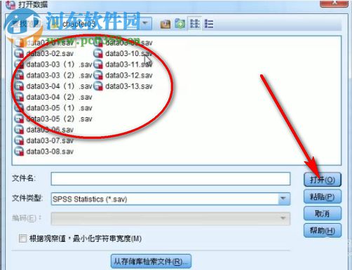 怎么用SPSS绘制饼状图