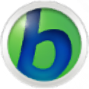 Babylon Pro NG设置中文的方法