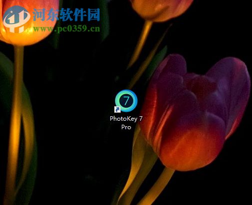 FXhome PhotoKey给图片添加特效的方法