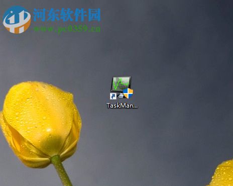 Auslogics Task Manager的使用说明