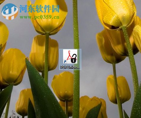 Free PDF Unlocker移除pdf文件密码的方法