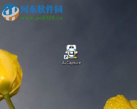 使用ALCapture截图的操作教程