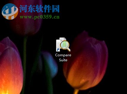 Compare Suit对比文件夹的方法
