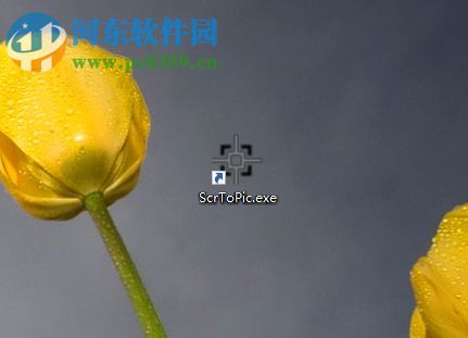 使用ScrToPicc截取图片的方法