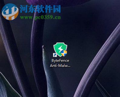 ByteFence Anti Malware的使用说明