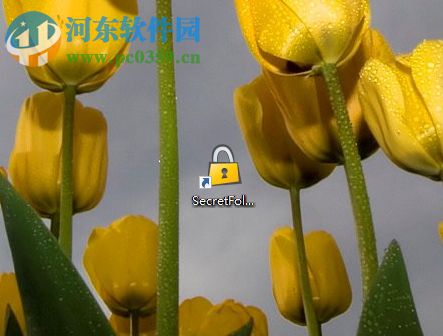 SecretFolder设置中文界面的方法