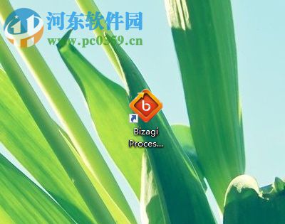 BizAgi Process Modeler设置中文界面的方法