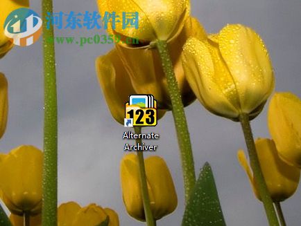 Alternate Archiver管理电脑文件的方法