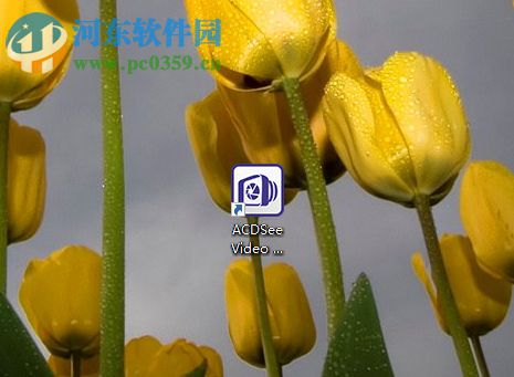 ACDSee Video Studio 2剪切视频的方法